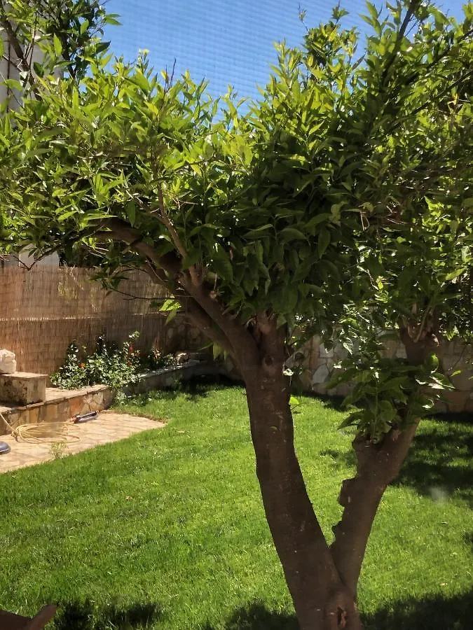 Petros Rooms & Apartments Lixouri